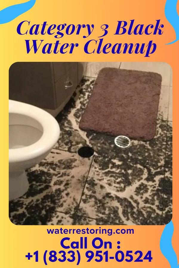 Category 3 Black Water Cleanup in Oskaloosa, IA