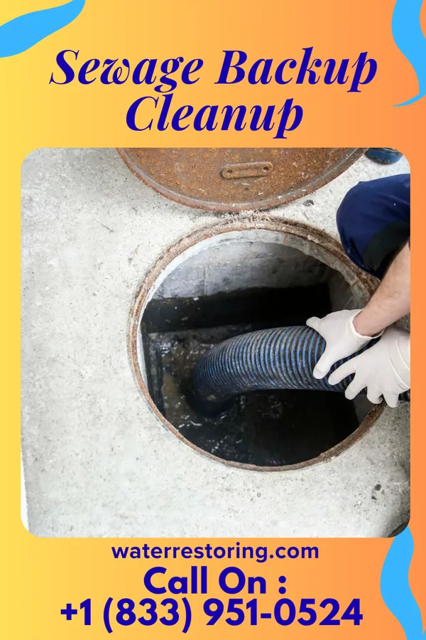 Sewage Backup Cleanup in Oskaloosa, IA